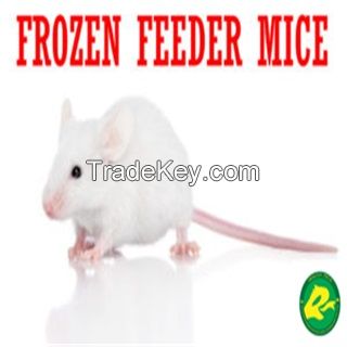 Frozen Feeder Mice for Sale Reptiles Snakes and Lizards Amphibians Birds of Prey or Raptor Applied