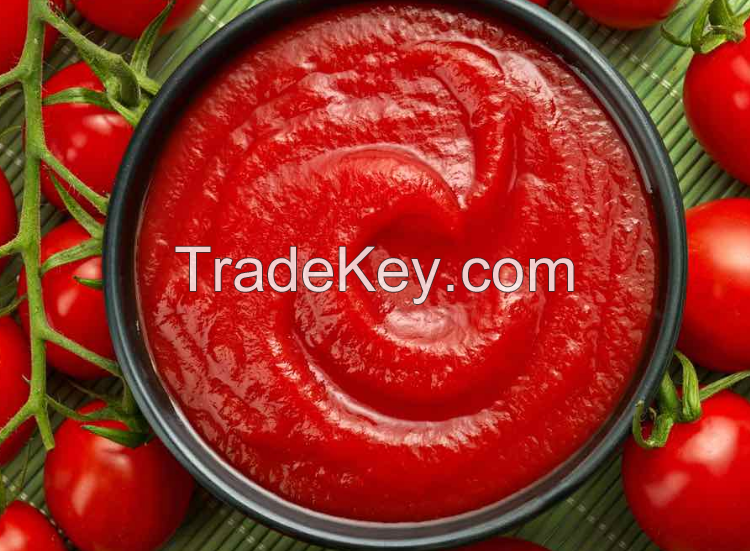 Tomato paste canned tomato sauce / Ketchup