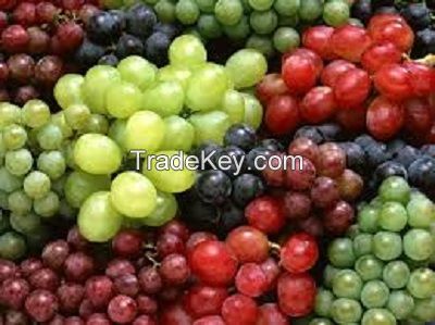 Fresh Grapes for sale