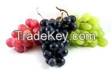 Red grapes, black grapes and white grapes