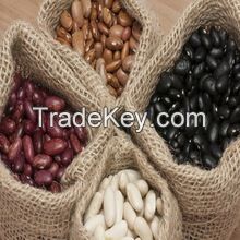 Light Speckled Kidney beans/Sugar beans/White beans/Red beans/Black beans
