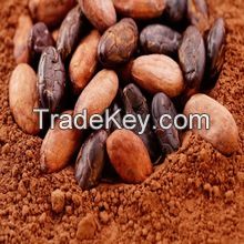 Hight quality Cocoa beans and cocoa powder