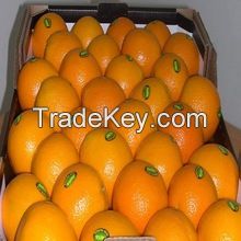 Fresh Sweet Valencia Oranges From South Africa/Fresh Fruit /Fresh Oranges