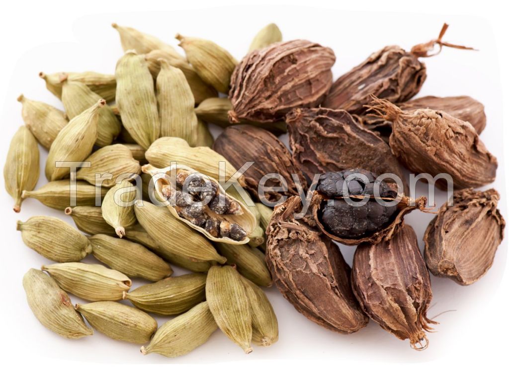 Organic Green Cardamom