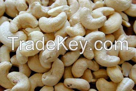 raw cashew nuts in shell