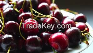 Fresh Cherries