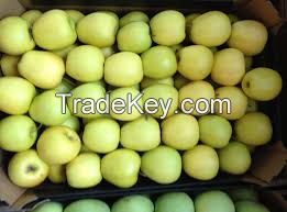 FRESH GOLDEN DELICIOUS APPLE