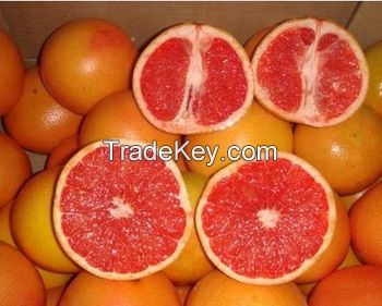 Fresh Organic Grapefruit