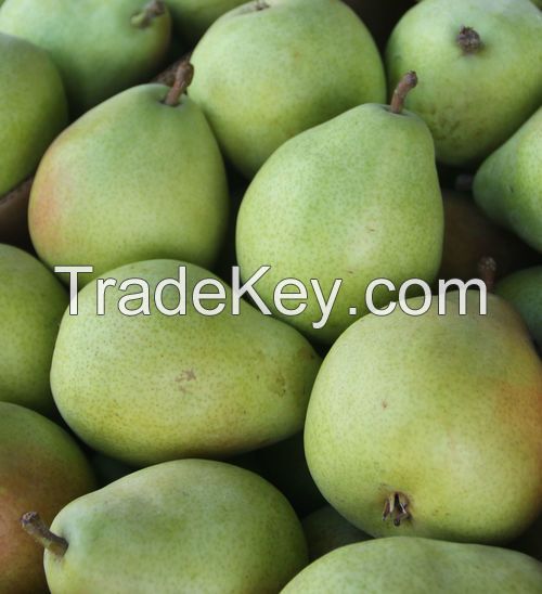 Fresh Pear