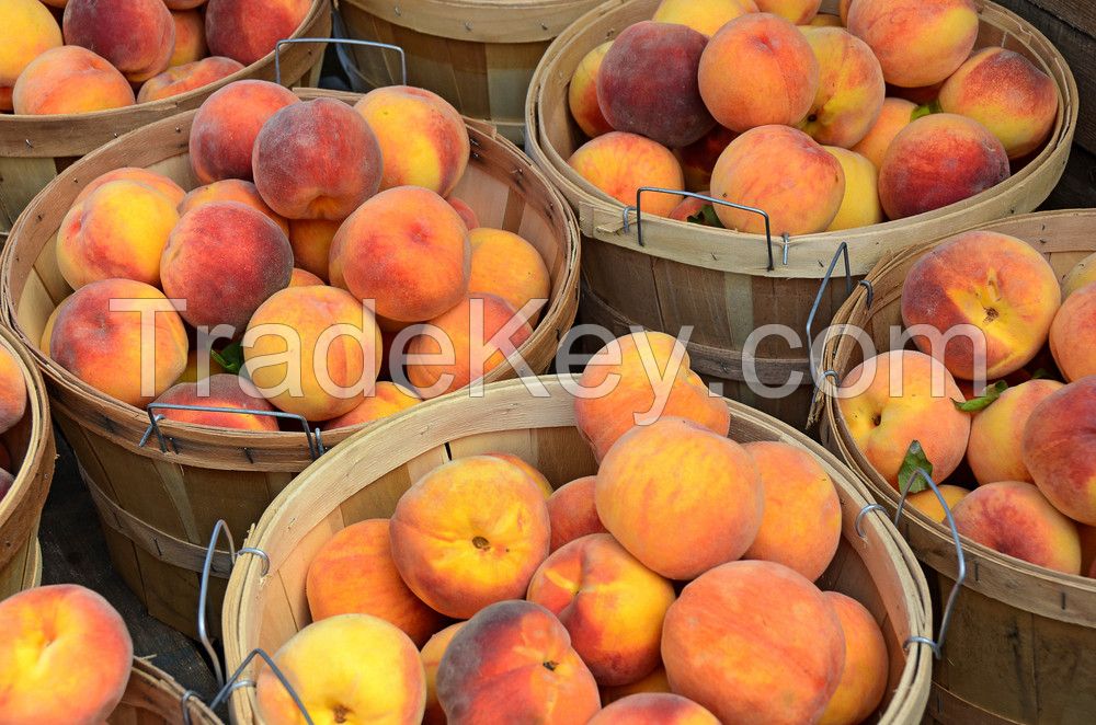 Fresh Peaches