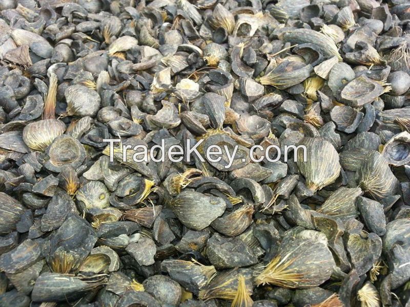 PALM KERNEL SHELL