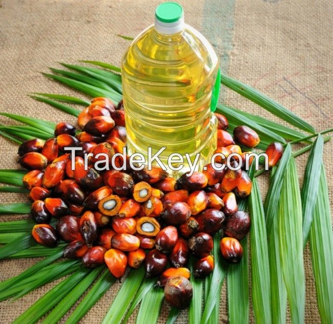 RBD Vegetable Refined Palm Cooking Oil