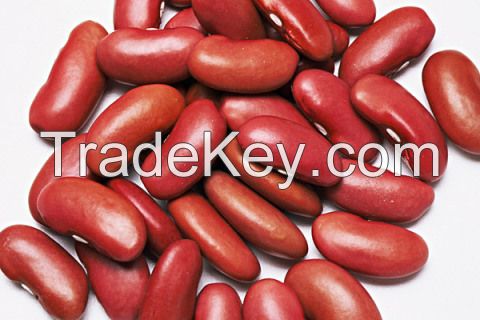 Red Kidney Beans