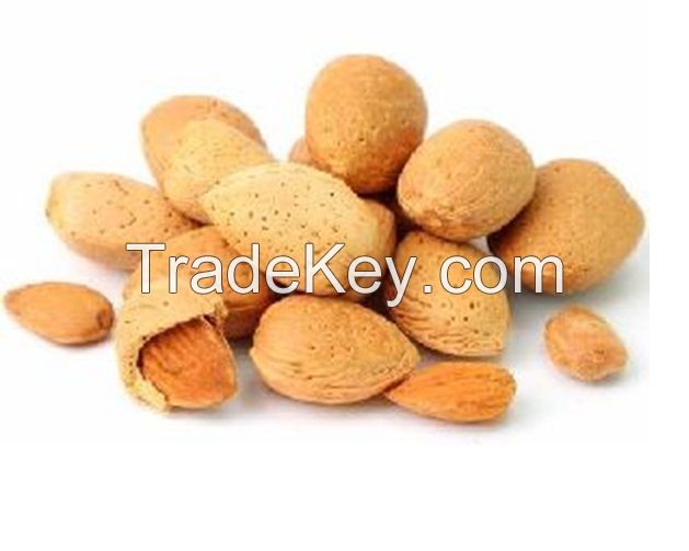 Afghani Almond