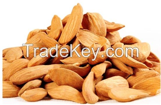 Afghani Almond Without Shell