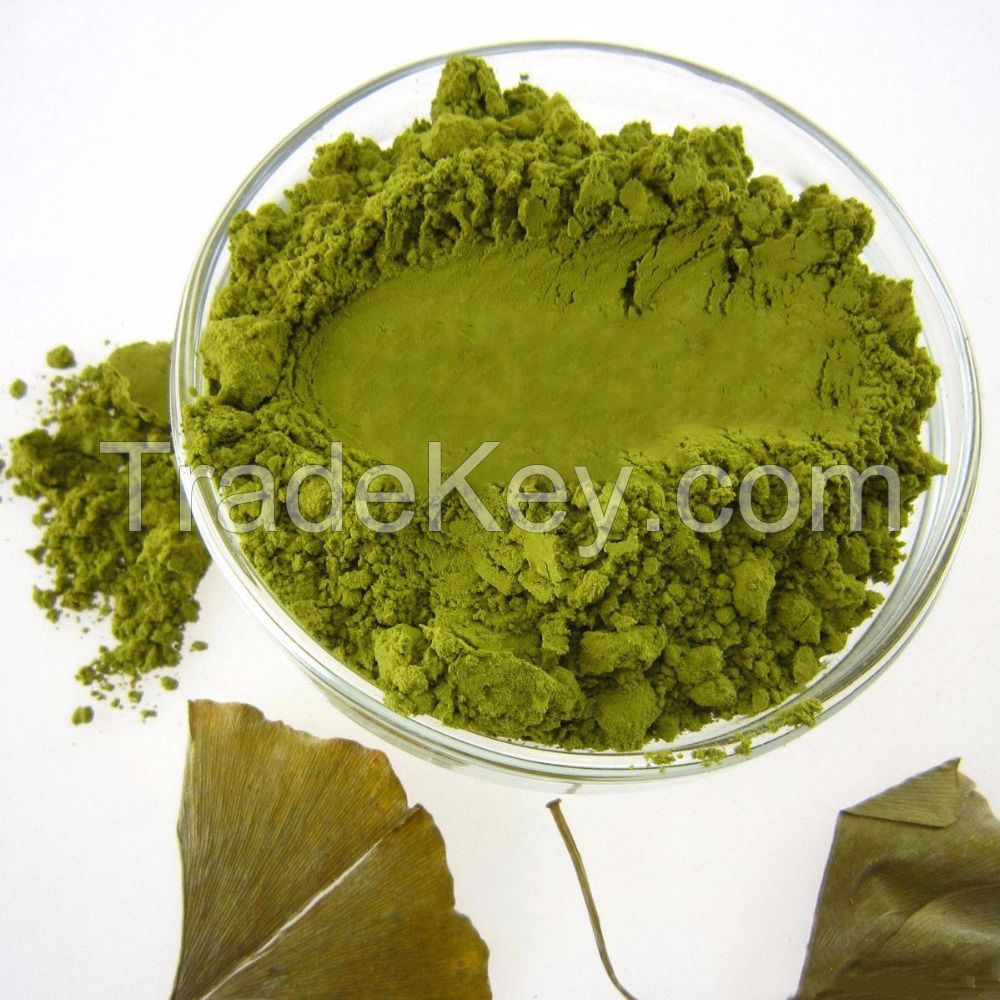 Pure Natural plant extract powder ginko biloba extrac