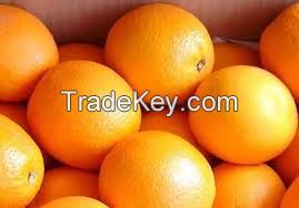 Fresh Naval Orange