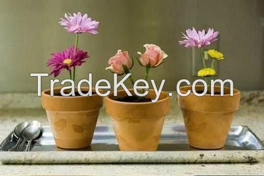 various size! outdoor large plastic plant pots colorful plastic flower pots