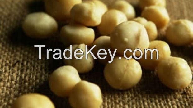 Organic Whole Raw Macadamia Nuts