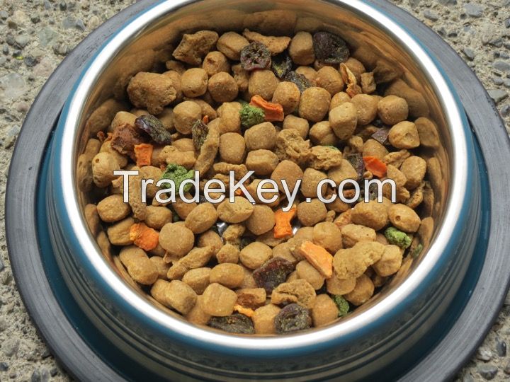 food for pet healthy