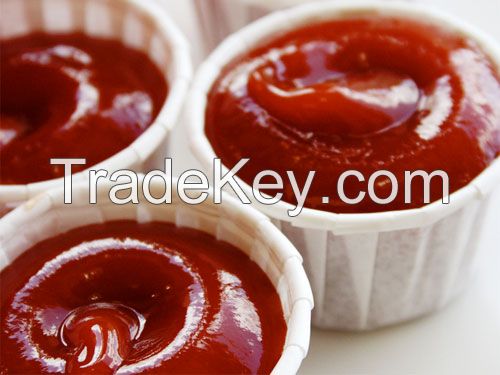 OEM Bottle 500ml Tomato Ketchup Sauce Dipping For Restaurant