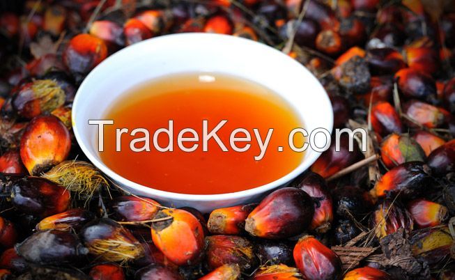 Natural Organic 100% Pure Palm Oil