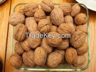 TOP Quality walnuts