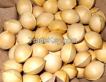 dried Ginkgo nuts