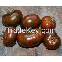 Hybrid Tomato seeds