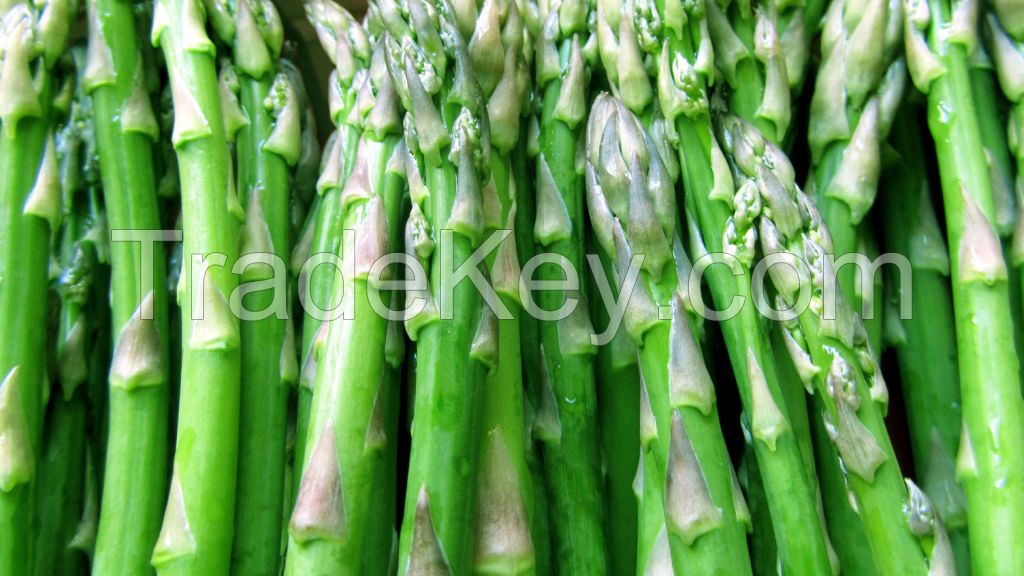Frozen fresh asparagus prices, Green asparagus