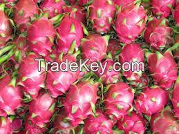 Fresh Dragon Fruit