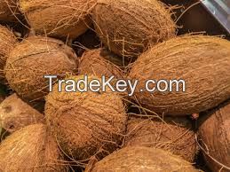Dried Mature Coconut