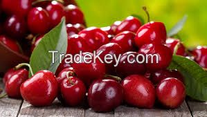 fresh quality cherries