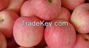 Red Apples High quality