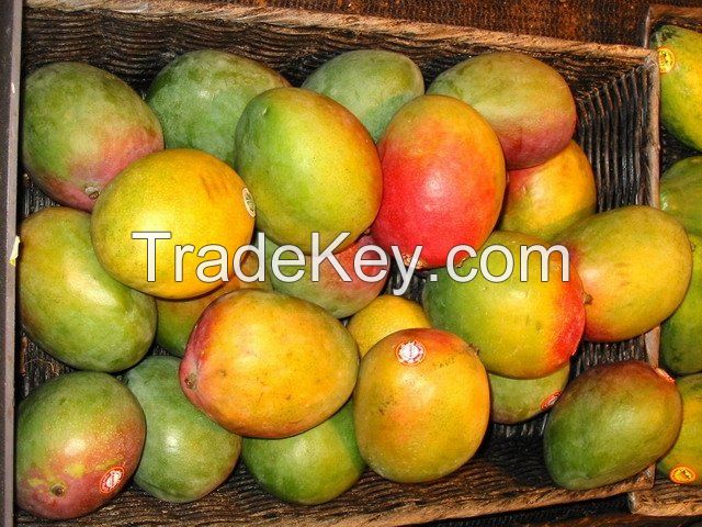 2014 High quality fresh frozen mango pulp