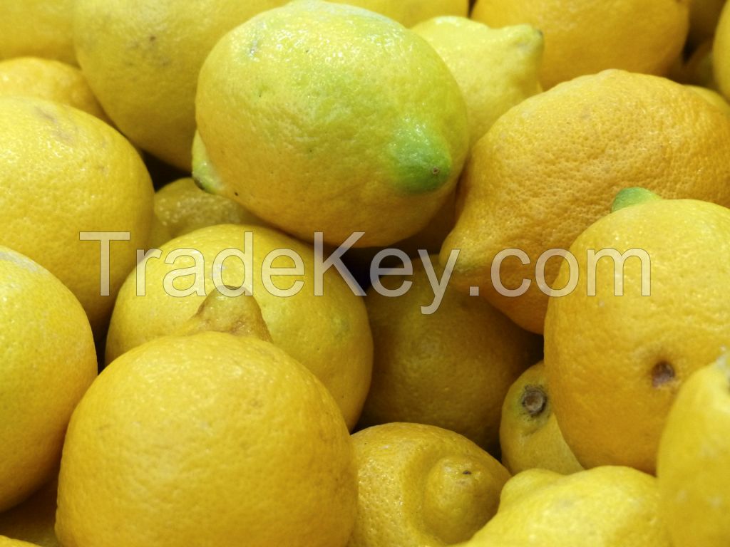 Cheap fresh Lemons