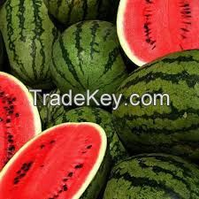 Top Quality Freshly Harvested Watermelon