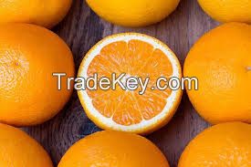 fresh navel oranges