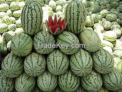 Fresh Organic Water Melon