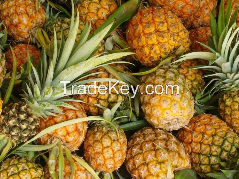 grade A Fresh Pineapples