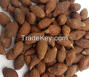 Malva Seed best quality origin Vietnam