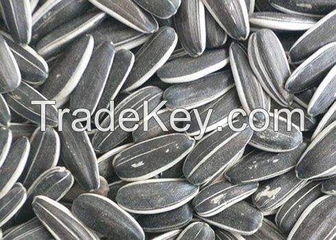 Sunflower Seed Best Quality Origin Vietnam