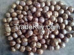 Rubber seed best quality origin Vietnam