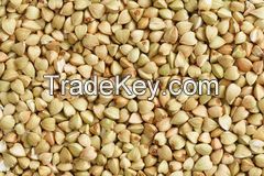 Buckwheat natural, grains hulled and fluor