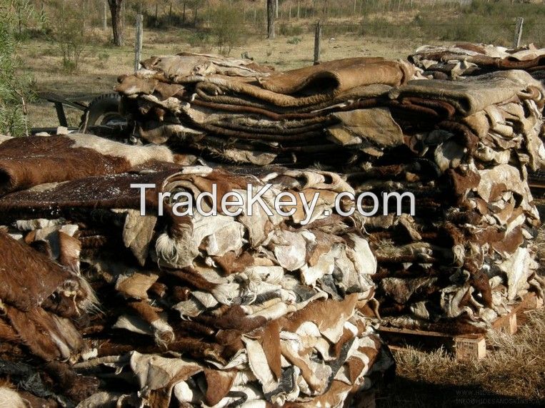 COW HIDE, DONKEY HIDE , SHEEP HIDES FOR SALE.