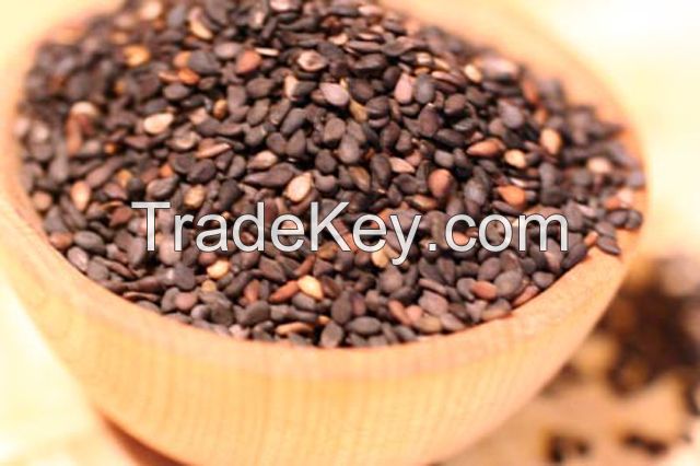 New Corps pure brown sesame seeds from Pabna
