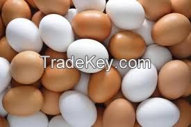 ( Brown and White)Fresh Table Chicken Eggs