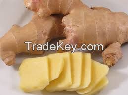 Competitive Price Of Per Ton New Crop Nature fresh ginger /sushi ginger