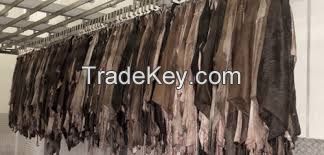 High Quality Dry and Wet Salted Donkey / Goat Skin / Cow Hides