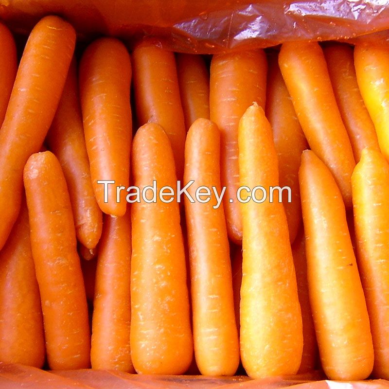 Premium fresh organic carrots for sale at low pricing